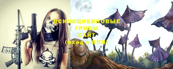 mix Верея
