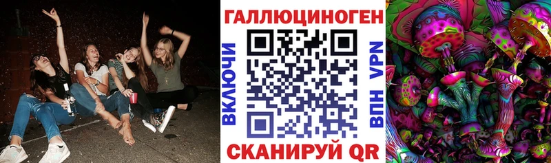 Галлюциногенные грибы Cubensis  KRAKEN сайт  Новосокольники 