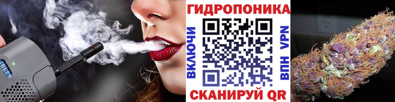 Каннабис MAZAR Новосокольники